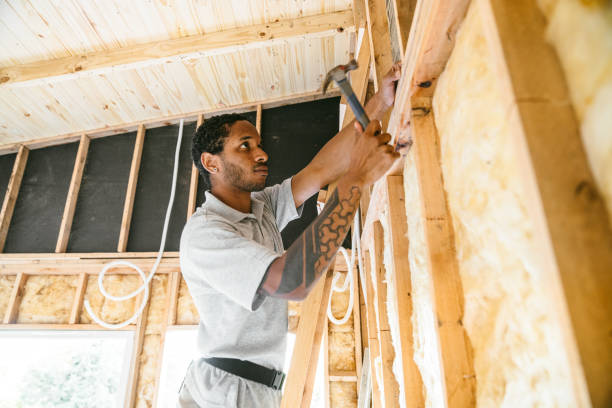 Best Energy-efficient Insulation  in Herscher, IL